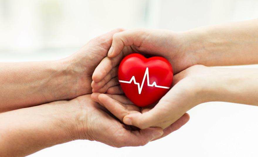 舒城县同路单采血浆站有限公司