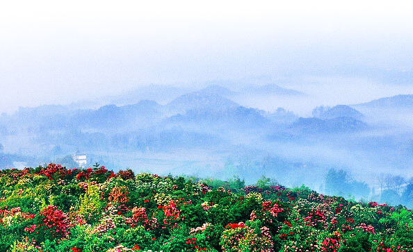 毕节市民族宗教事务局