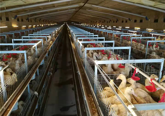 小步外勤赋能农牧业，以数字化驱动农牧业转型升级