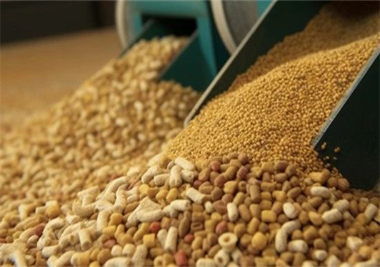 标准化业务管理，打造高质量饲料销售团队